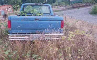 Ford-f150-1990-6