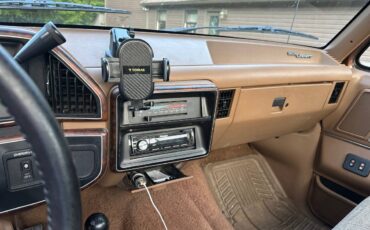 Ford-f150-1990-brown-10