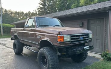 Ford-f150-1990-brown