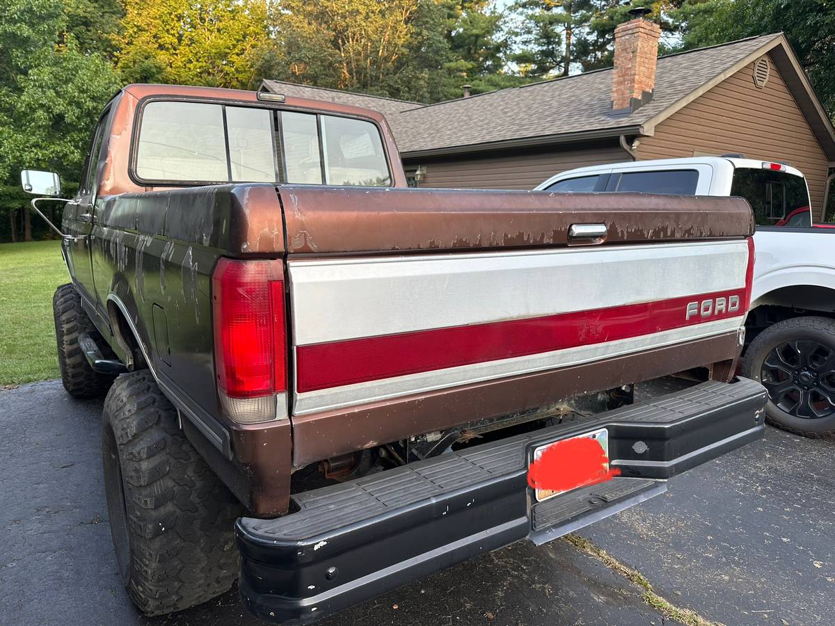 Ford-f150-1990-brown-5