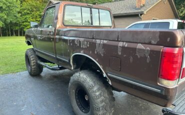 Ford-f150-1990-brown-6