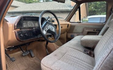 Ford-f150-1990-brown-9