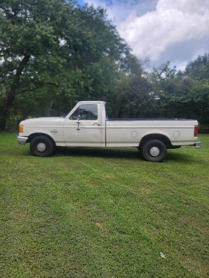 Ford-f150-1990-white-8