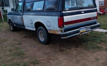 Ford-f150-1991-blue-1