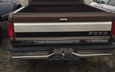 Ford-f150-1992-brown-1