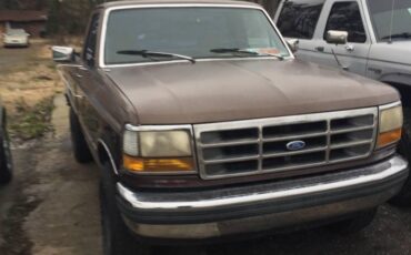 Ford-f150-1992-brown