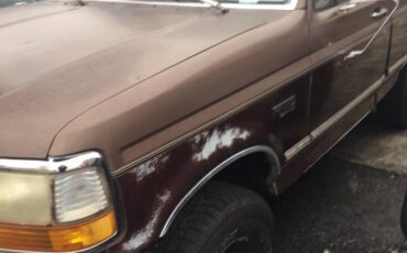 Ford-f150-1992-brown-4