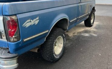 Ford-f150-44-1993-blue
