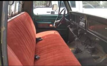 Ford-f150-4x4-1976-green-2