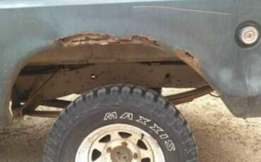 Ford-f150-4x4-1976-green-3