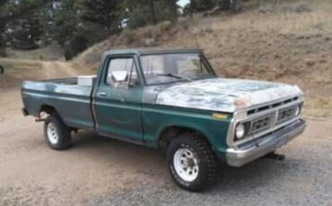 Ford-f150-4x4-1976-green