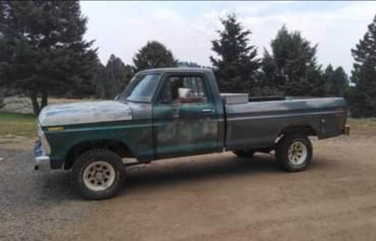 Ford-f150-4x4-1976-green-6