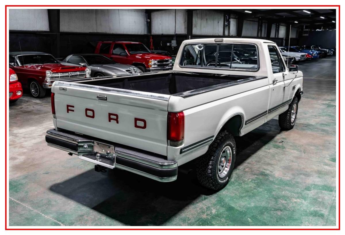Ford-f150-4x4-1989-white-5
