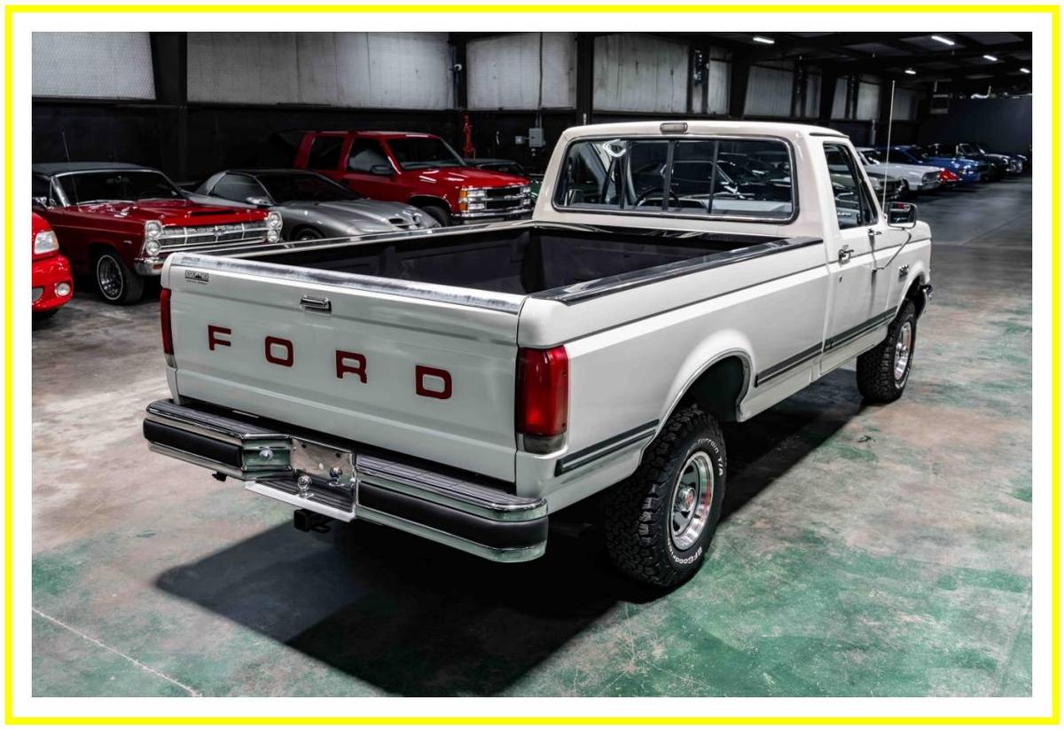 Ford-f150-4x4-1989-white-9