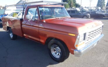 Ford-f150-short-bed-utility-truck-1979-brown-1