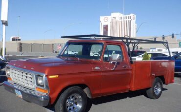 Ford-f150-short-bed-utility-truck-1979-brown-10
