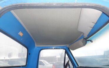 Ford-f150-short-bed-utility-truck-1979-brown-15