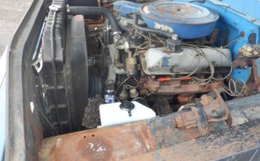 Ford-f150-short-bed-utility-truck-1979-brown-18