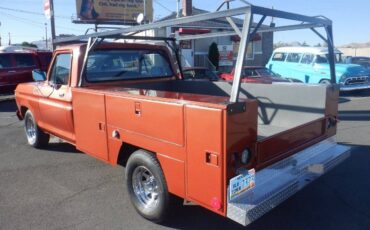Ford-f150-short-bed-utility-truck-1979-brown-2