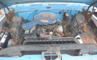 Ford-f150-short-bed-utility-truck-1979-brown-23
