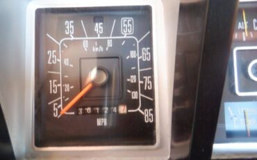 Ford-f150-short-bed-utility-truck-1979-brown-4