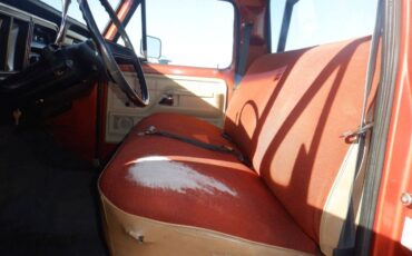 Ford-f150-short-bed-utility-truck-1979-brown-7