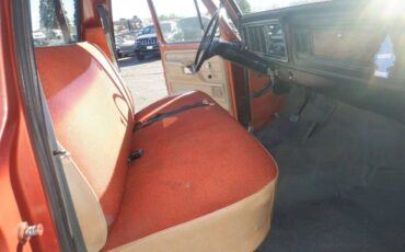 Ford-f150-short-bed-utility-truck-1979-brown-9