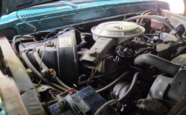 Ford-f150-super-cab-1977-green-10