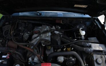 Ford-f150-xl-1994-green-13
