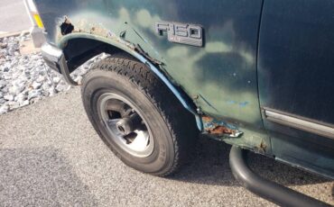 Ford-f150-xlt-1995-green-11