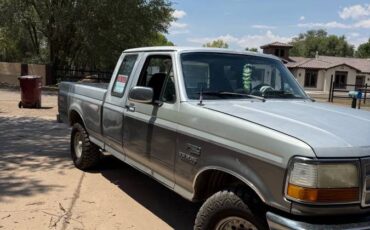 Ford-f150-xlt-4x4-1992-grey-3