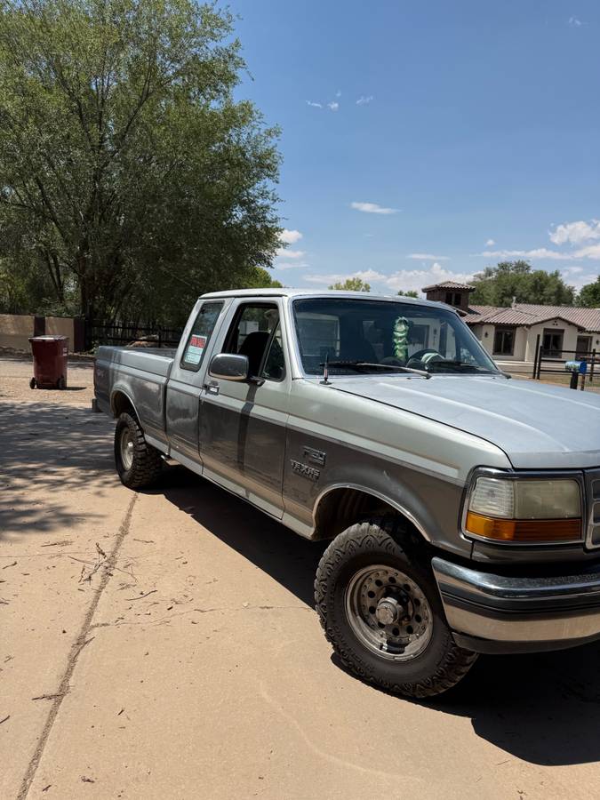 Ford-f150-xlt-4x4-1992-grey-3
