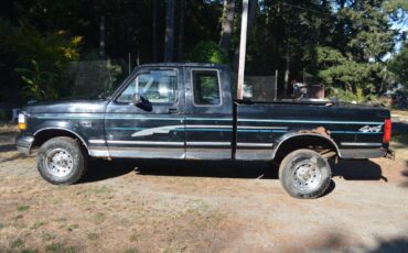 Ford-f150-xlt-4x4-1994-19