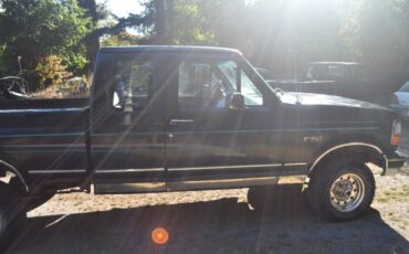 Ford-f150-xlt-4x4-1994-8