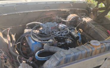Ford-f250-1973-white-1
