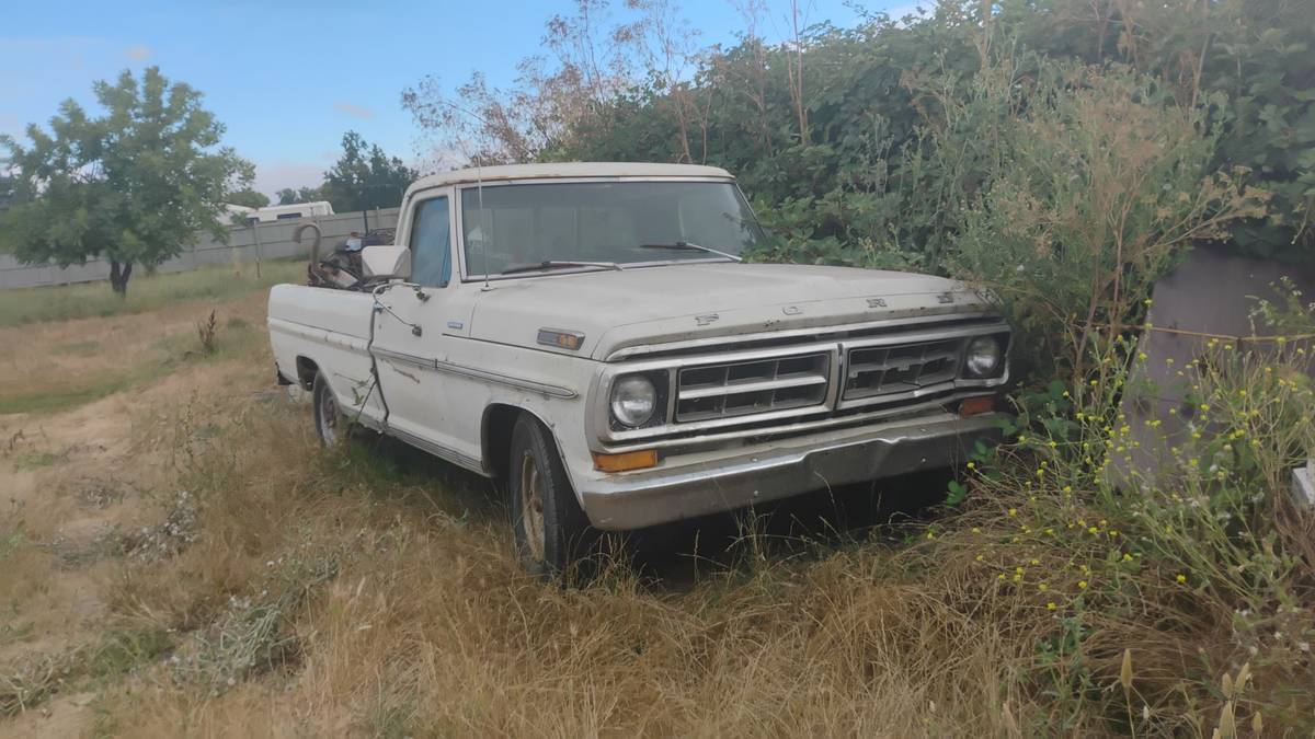 Ford-f250-1973-white