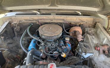 Ford-f250-1974-black-5