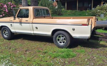 Ford-f250-1976-white-14