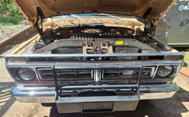 Ford-f250-1976-white-6