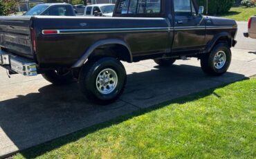 Ford-f250-1977-brown-2