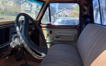 Ford-f250-1977-brown-4