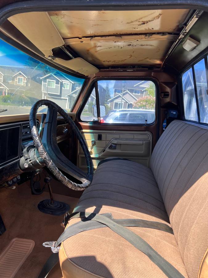 Ford-f250-1977-brown-4