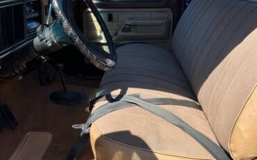 Ford-f250-1977-brown-5