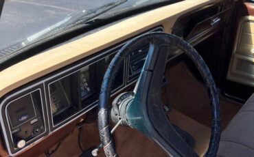Ford-f250-1977-brown-6