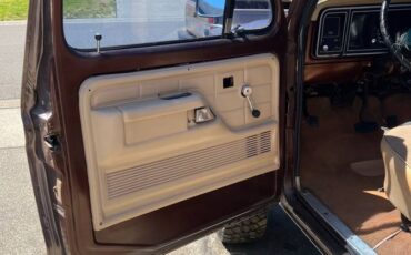 Ford-f250-1977-brown-7