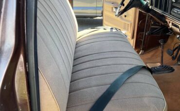 Ford-f250-1977-brown-9