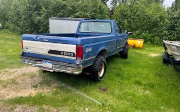 Ford-f250-1993-blue