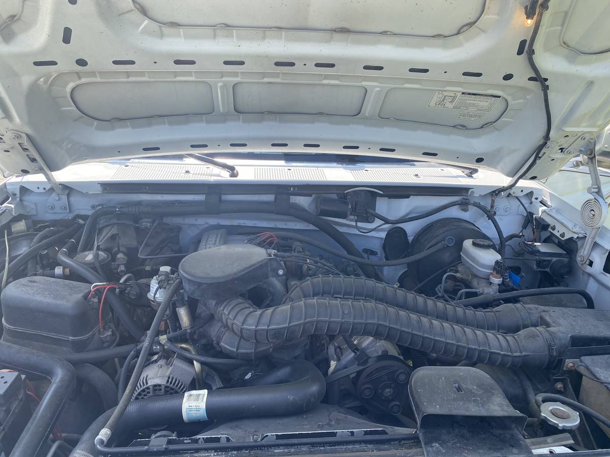 Ford-f250-1994-white-8