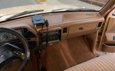 Ford-f250-4x4-1988-brown-10