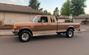 Ford-f250-4x4-1988-brown-2